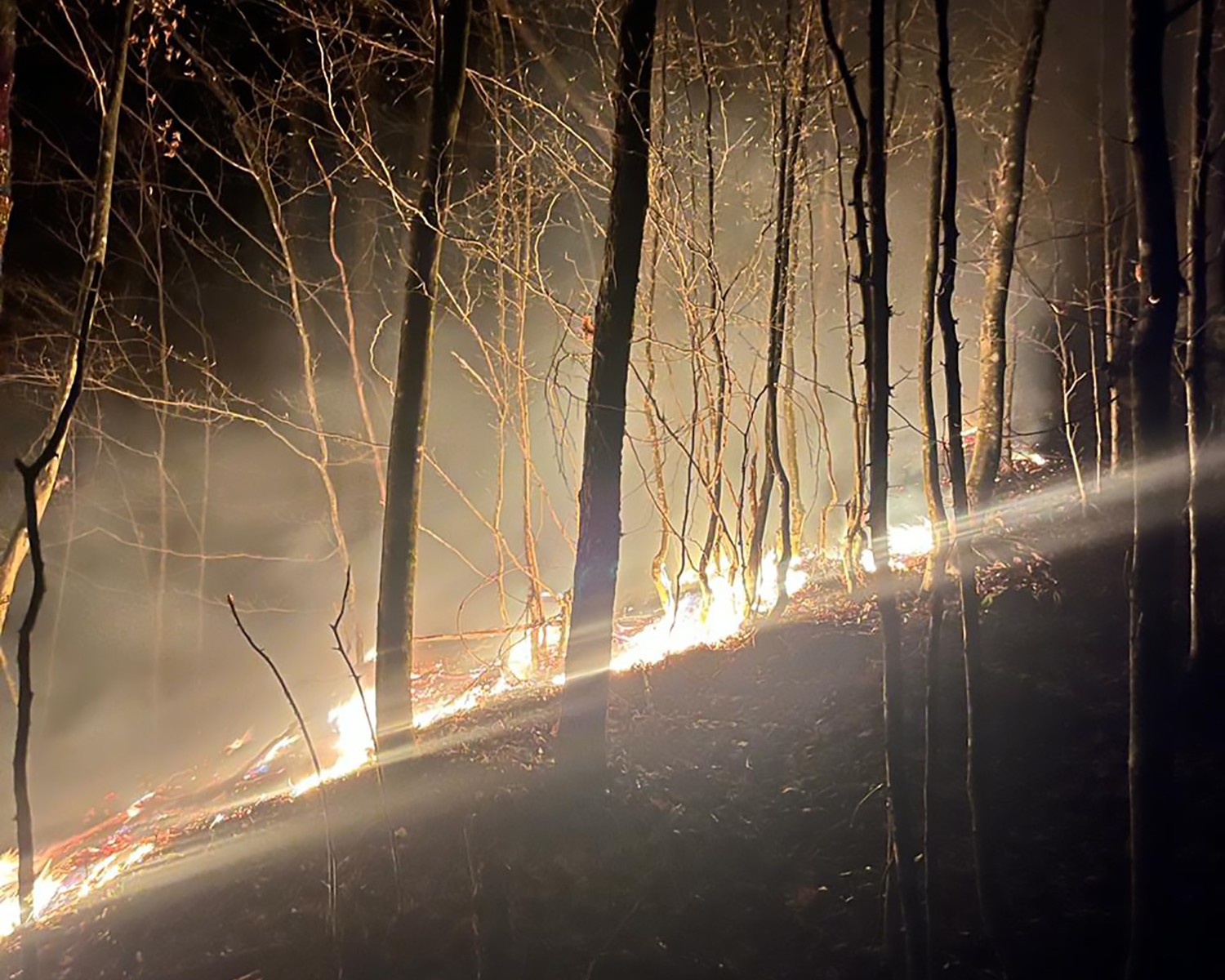 Загоряння лісової підстилки
