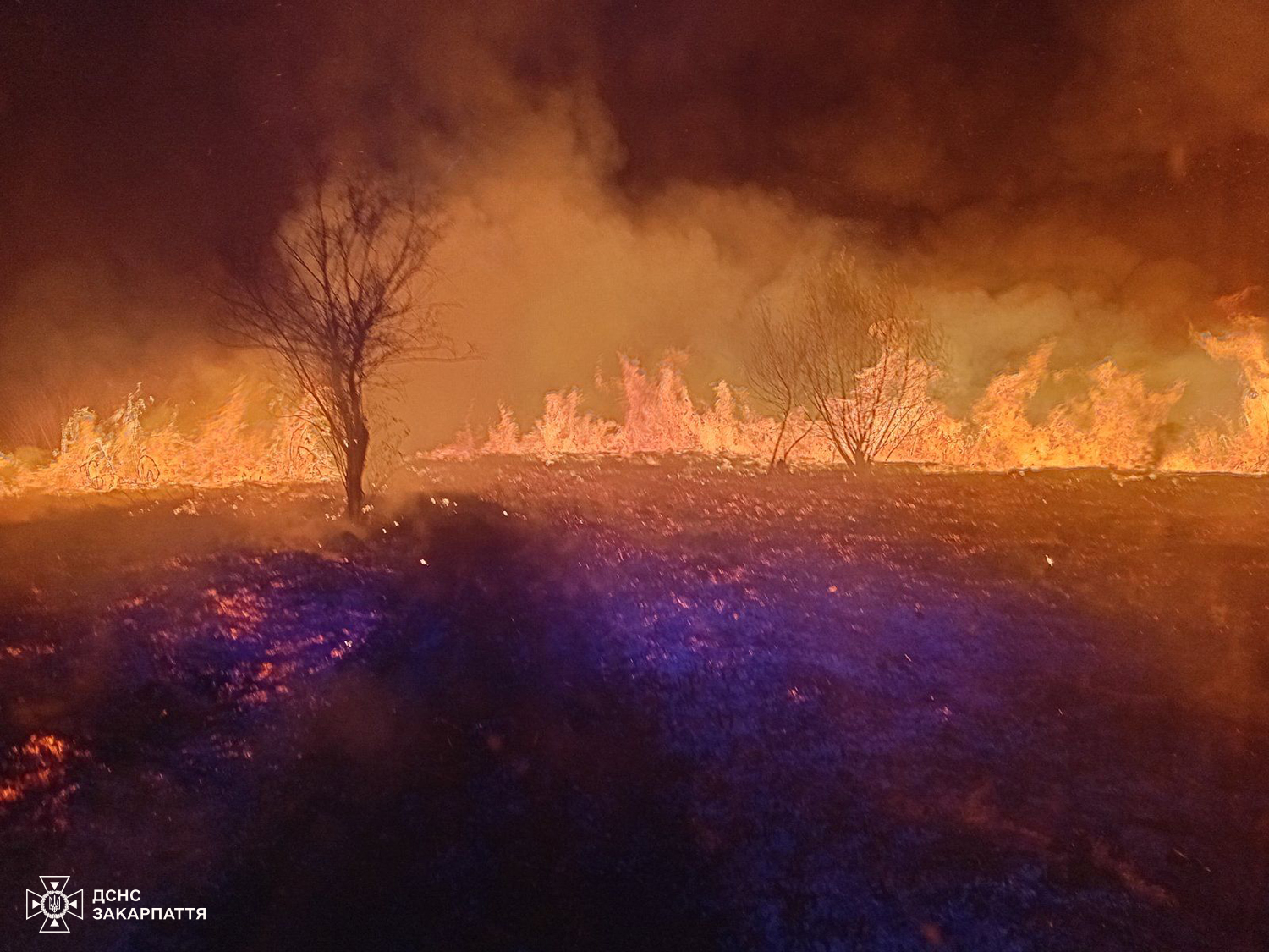 На Закарпатті очікується висока пожежна небезпека