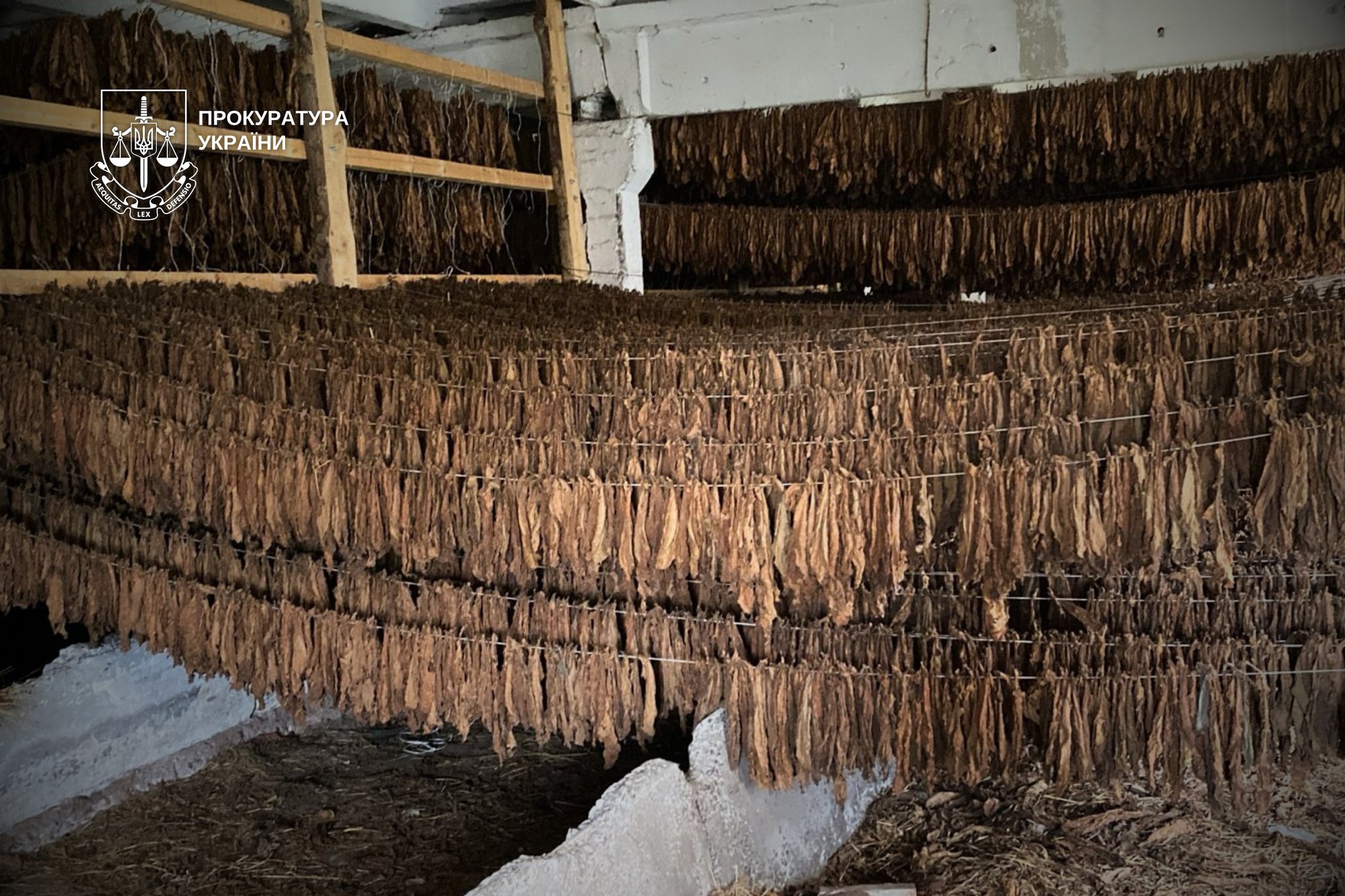 Підпільний бізнес із виготовлення і поширення тютюну