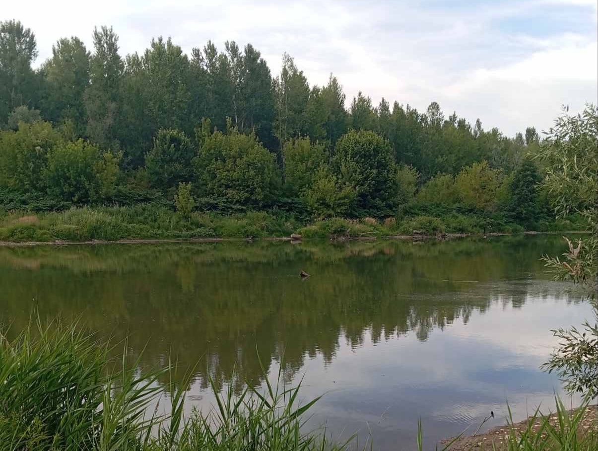 Річка