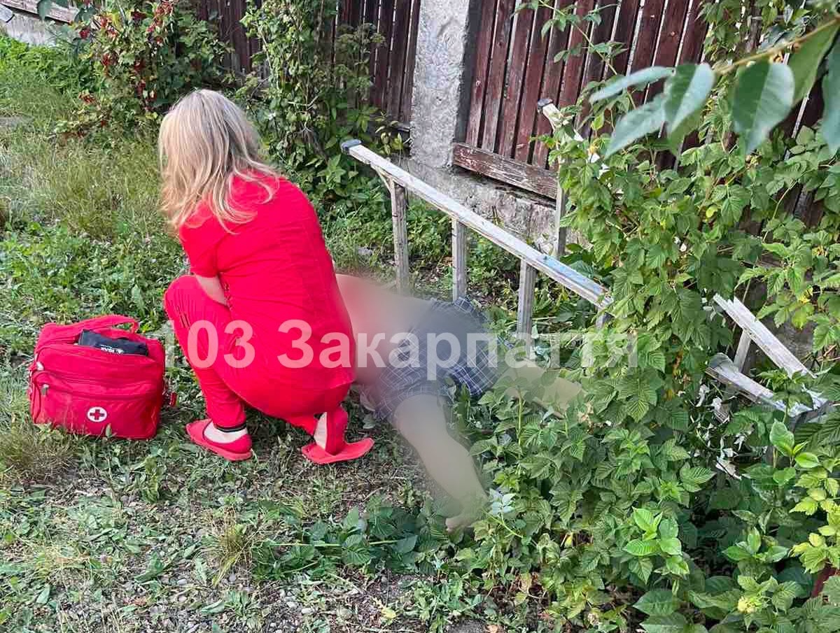 На Тячівщині закарпатець впав з драбини, коли збирав черешню і загинув