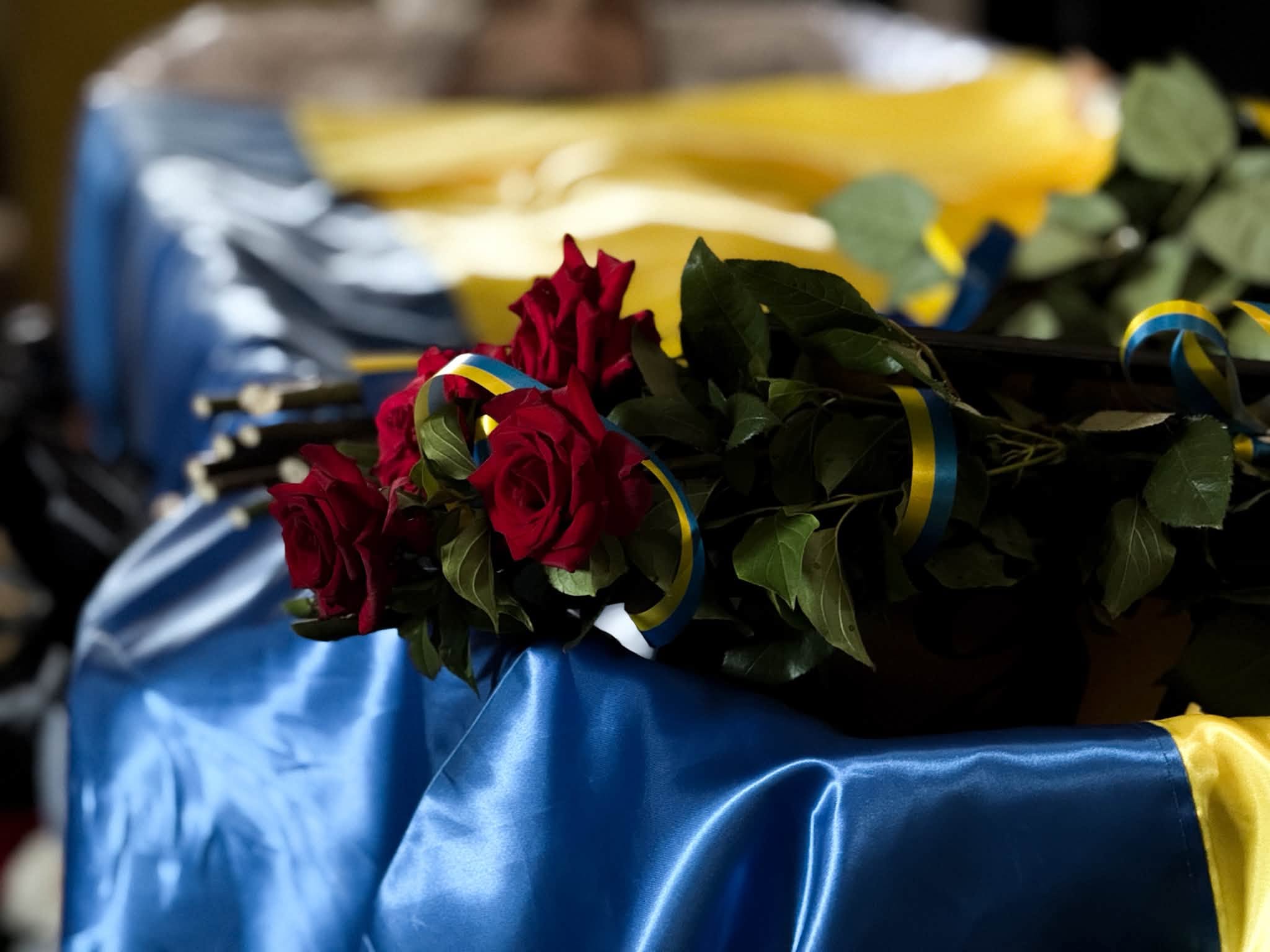 Прощання із Василем Митровкою