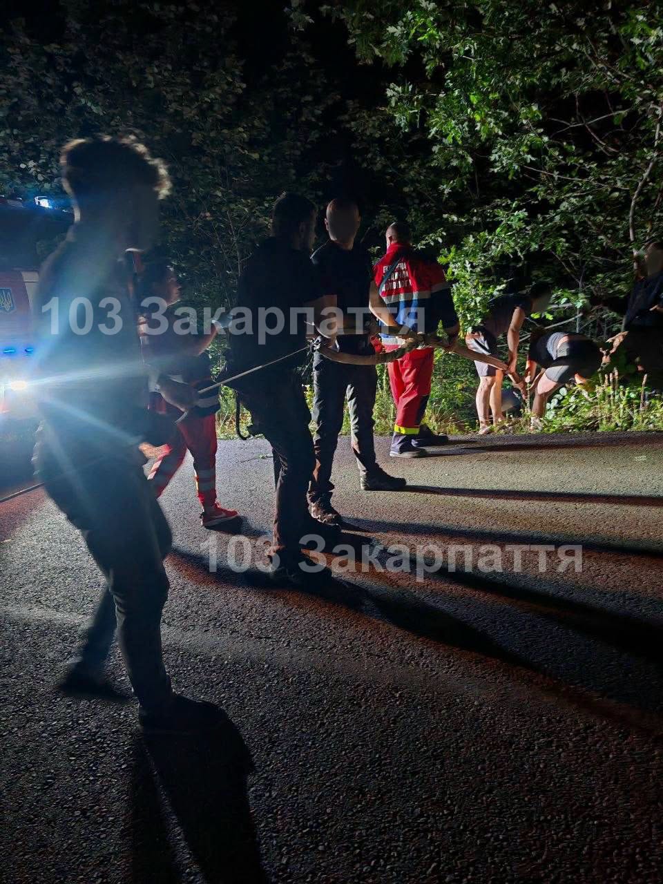 Витягають пацієнта з кювету