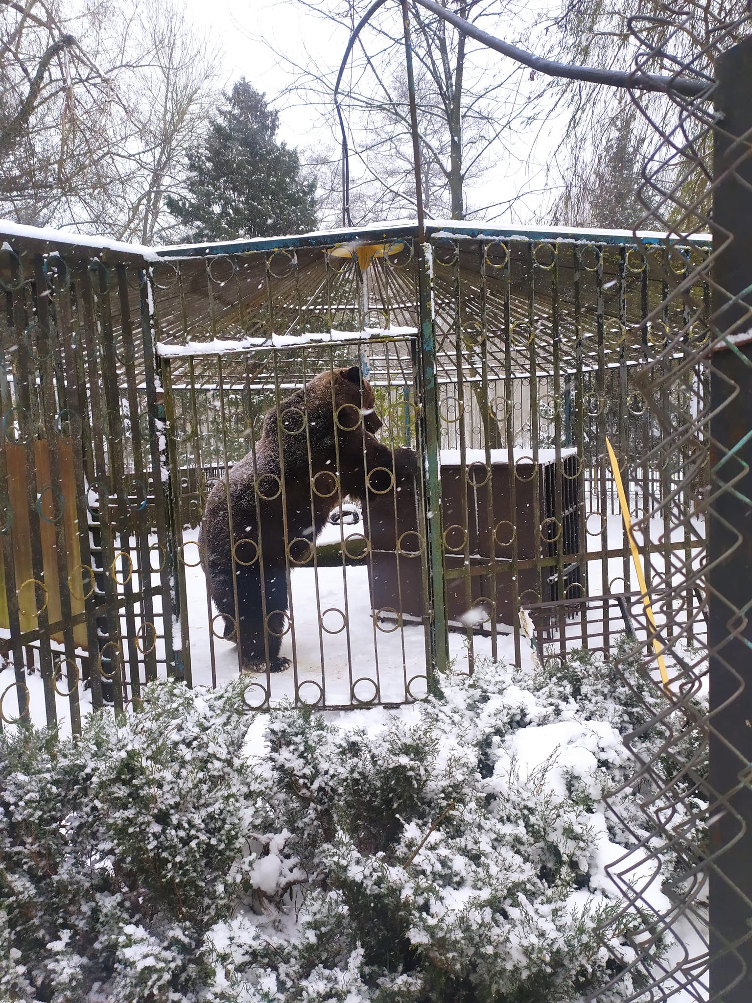 Тварина перебувала в поганих умовах в зоокутку в Хмельницьку 