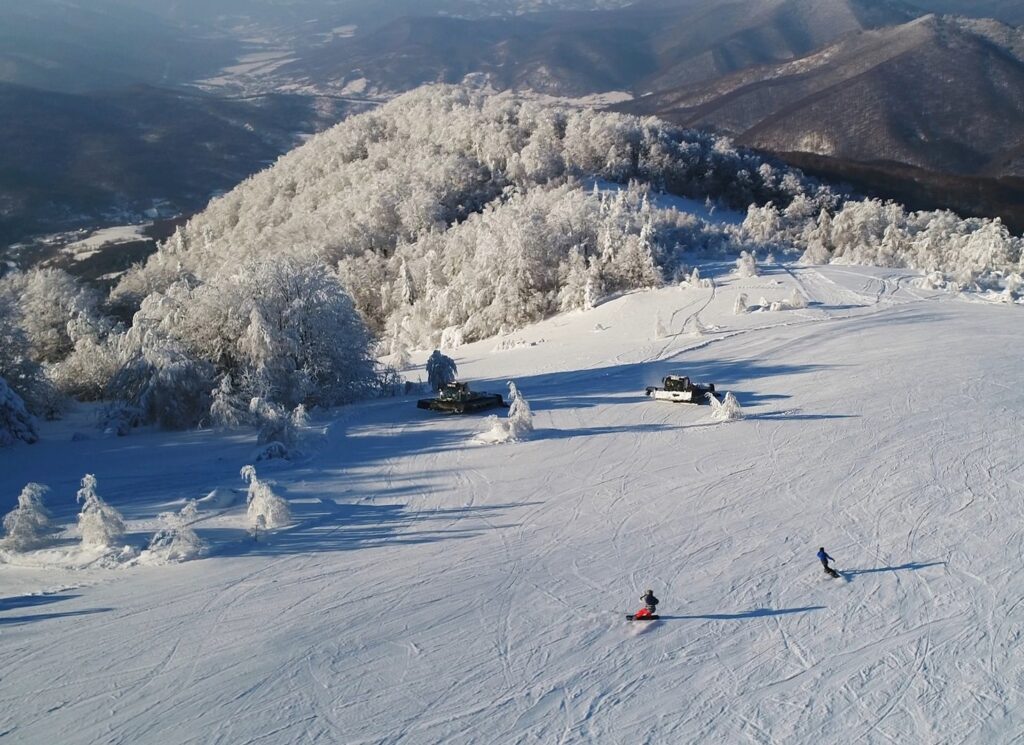 Кататься в Карпатах на