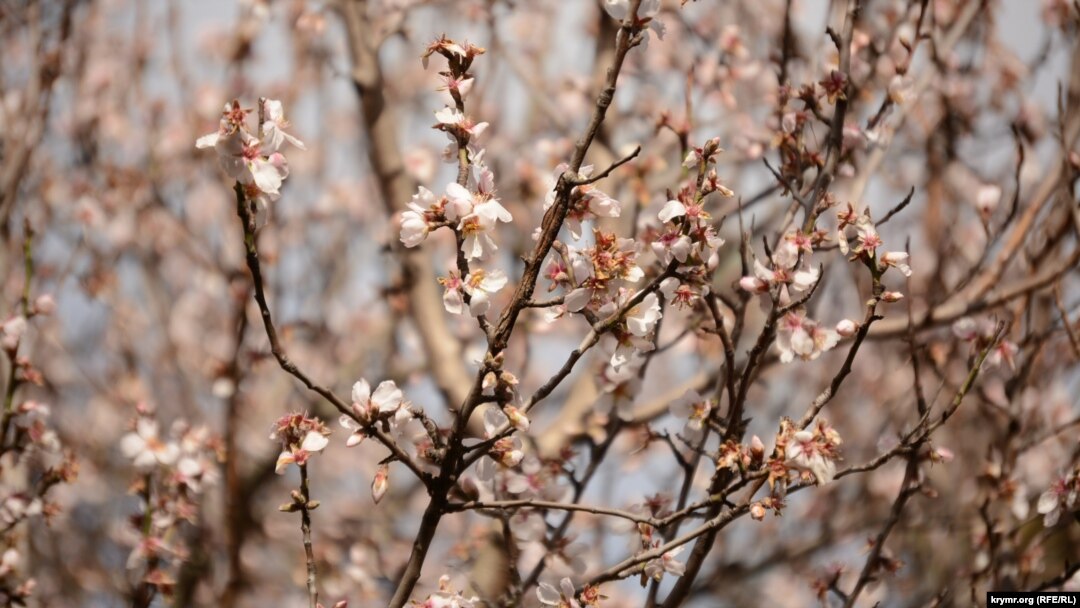 На поверхні грунту будуть заморозки, а вдень до 11° тепла