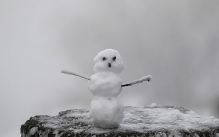 На Закарпатті 3 лютого прогнозують мокрий сніг 