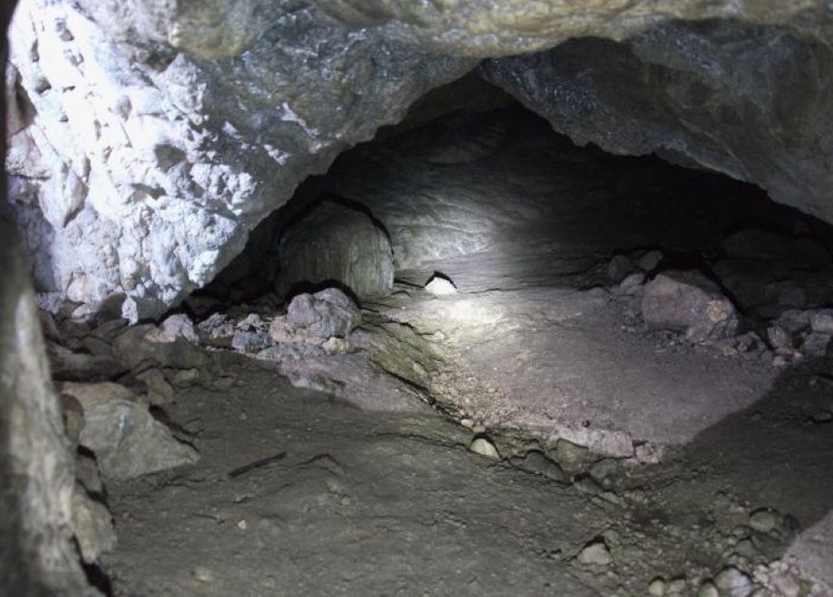 Перша на Закарпатті печерна стоянка людей кам'яного віку