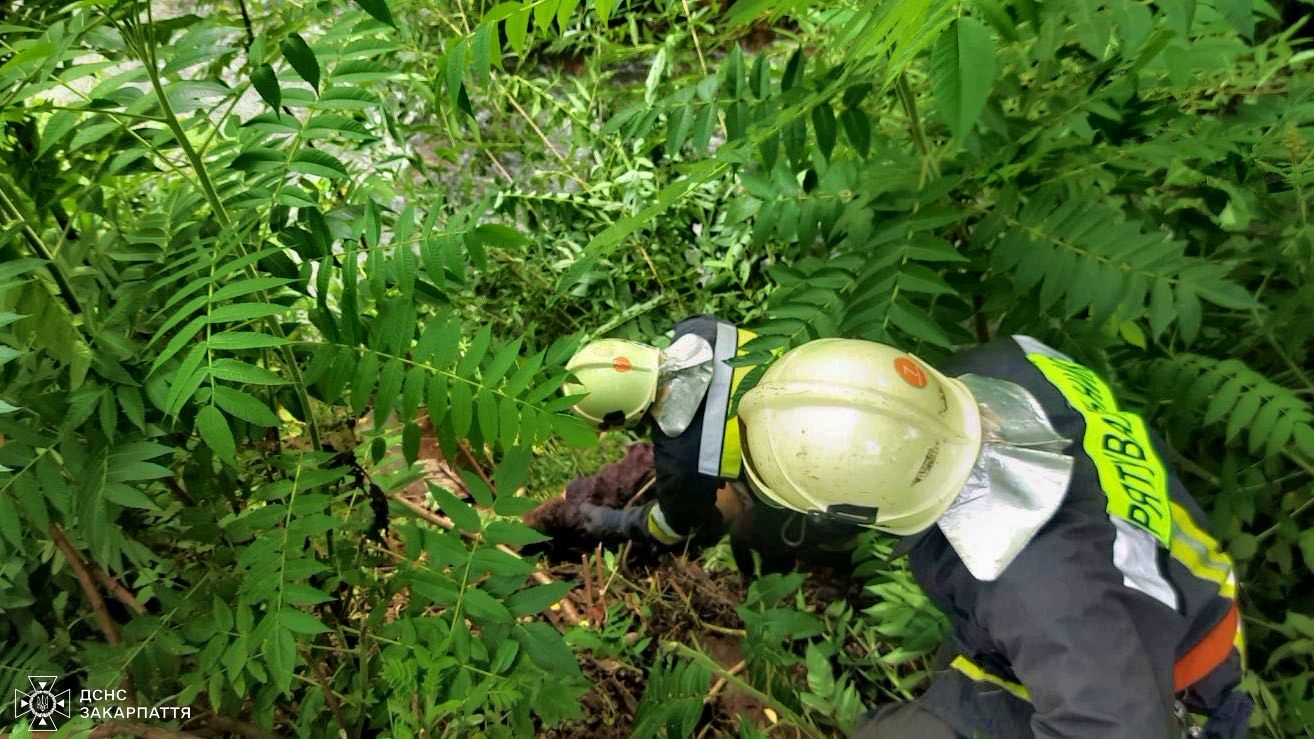 Надзвичайники під час вилучення тіла загиблого чоловіка з водойми