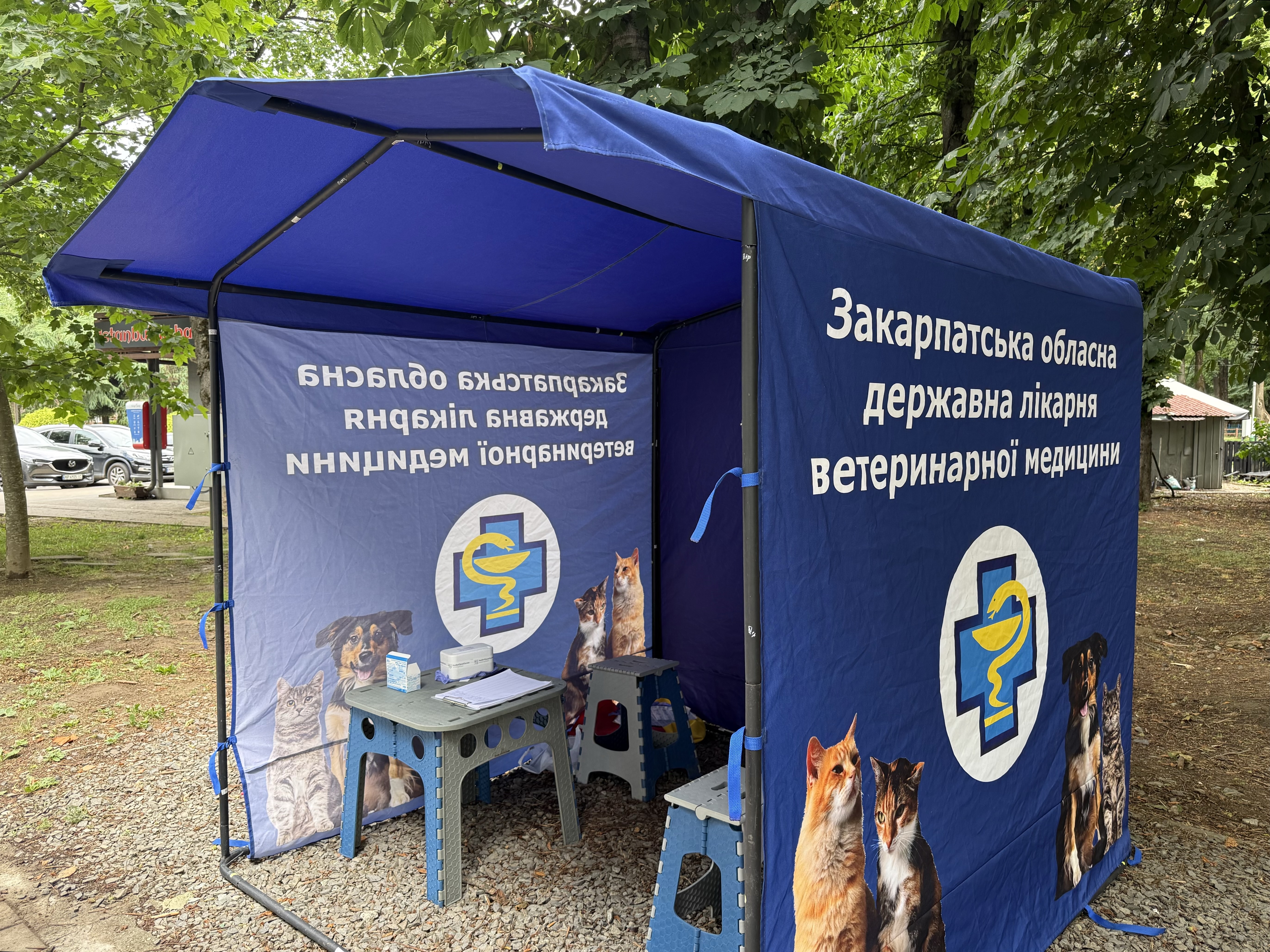 Палатка з безкоштовною вакцинацією тварин