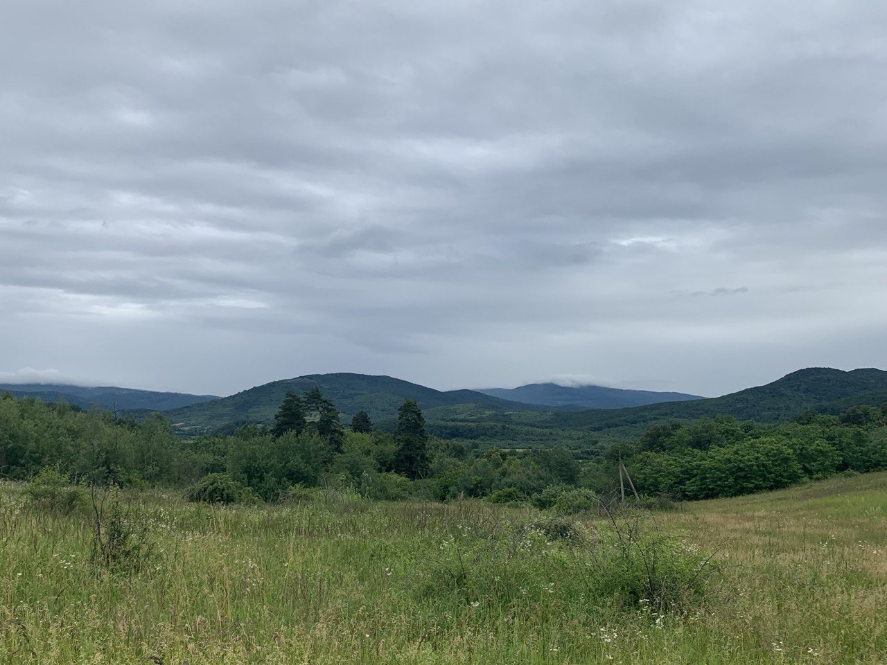 Краєвид Закарпаття