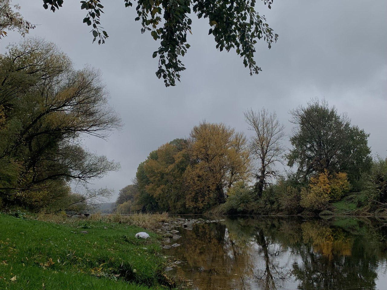 Пейзаж річки біля осінніх дерев