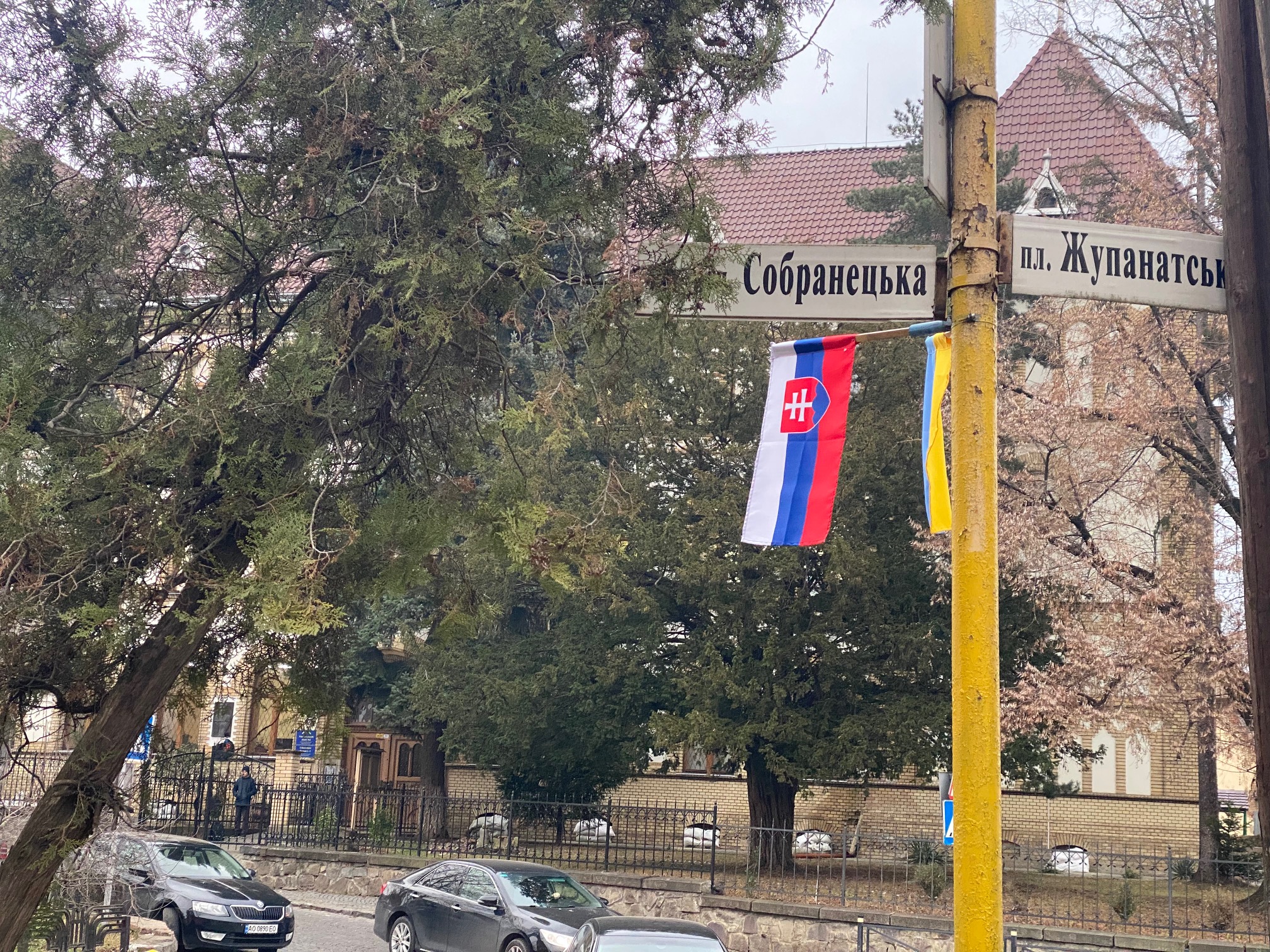 Прапори Словаччини в Ужгороді