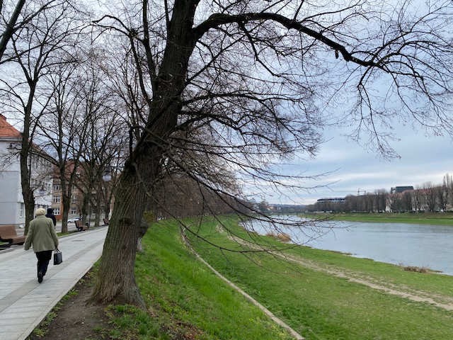 Липова алея в Ужгороді