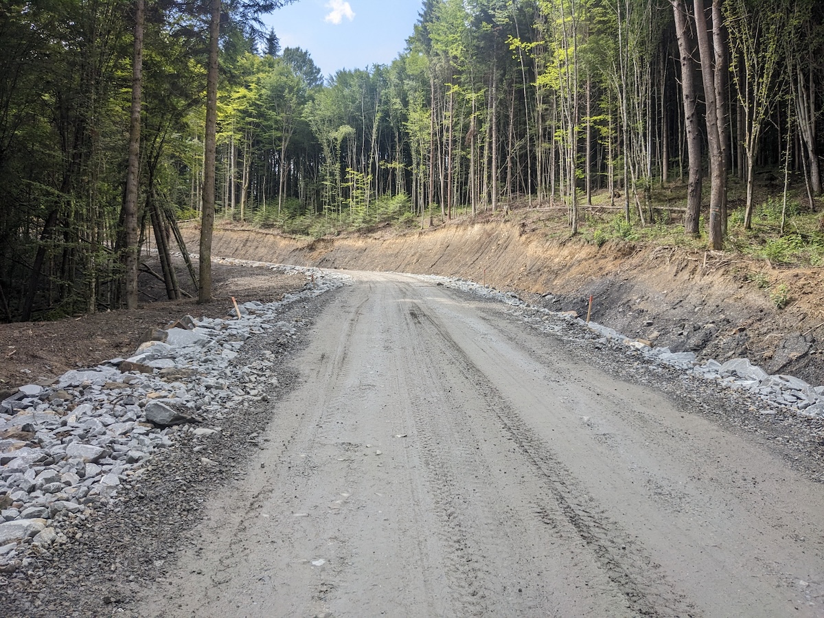 Прокладена у лісі дорога 