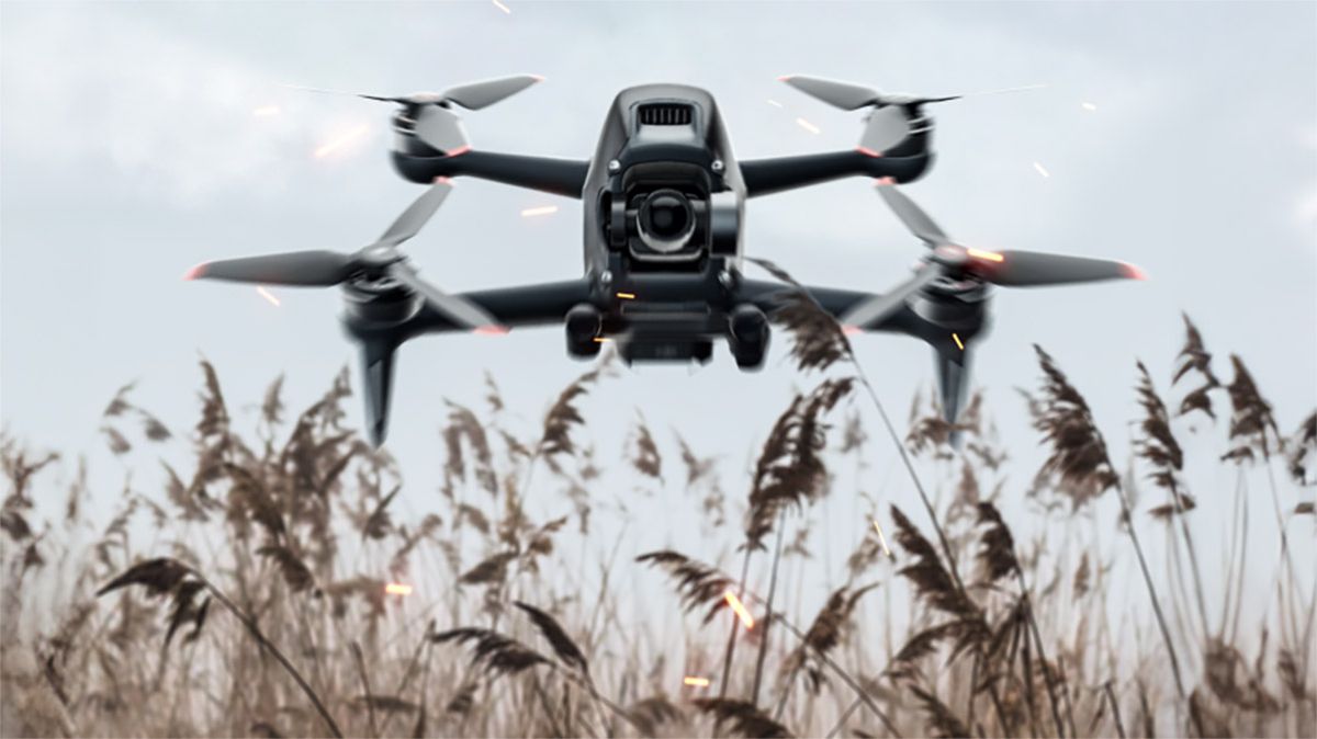 Зображення дрона над пшеничним полем