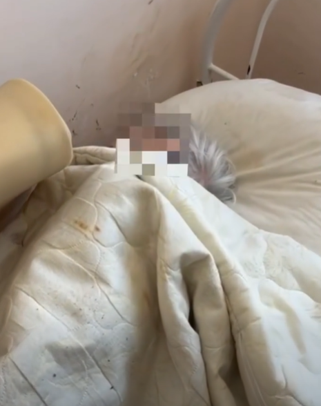 Умови у пансіонаті «Турбота та догляд» у селі Минай на Закарпатті 