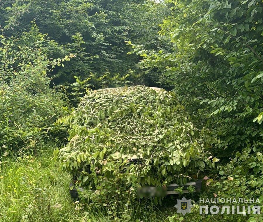 авто, замасковане гілками авто 