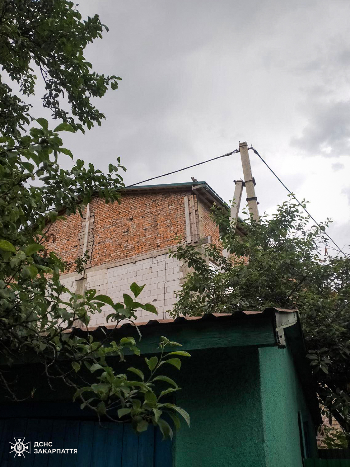 Кіт заліз на дах двоповерхового будинку та не міг звідти вибратися