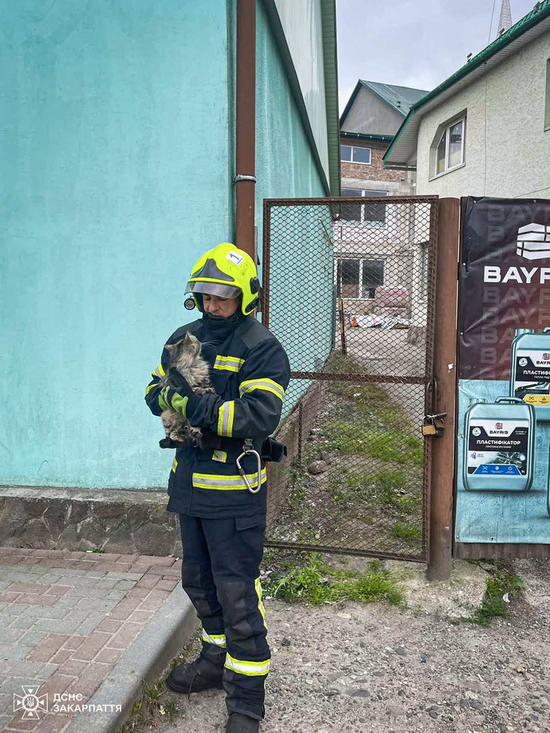 Ще один врятований пухнастик 