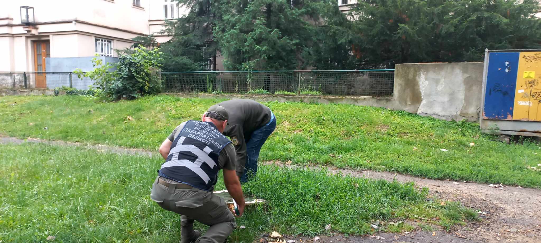 Фото з незаконної рубки 