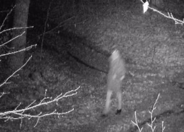 Чоловік хотів незаконно потрапити до Чехії 