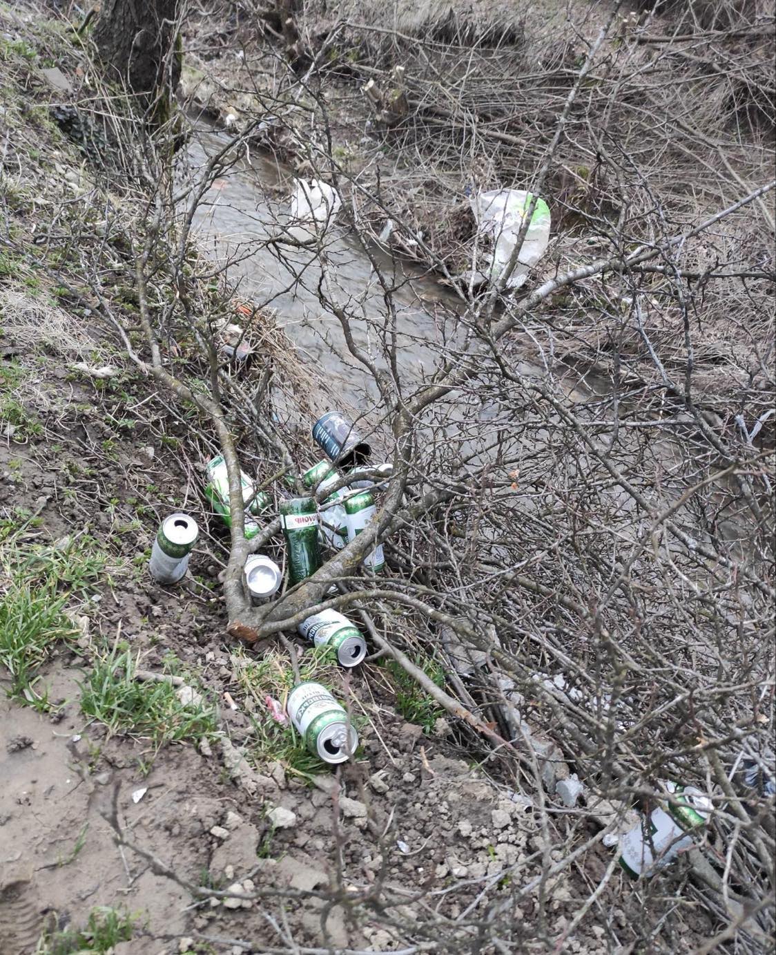 Пусті пляшки від пива на березі гірської ріки 