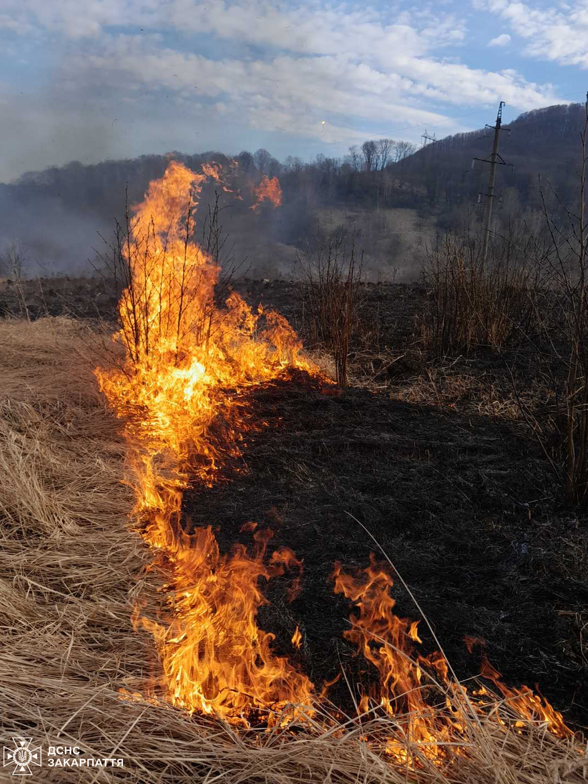 Лише за вихідні рятувальники зафіксували 25 пожеж сухої рослинності 
