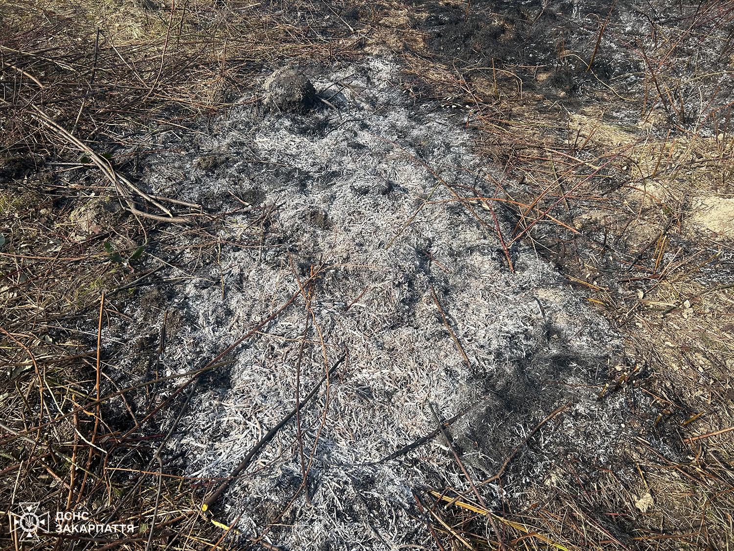 Підпал сухої трави на Тячівщині