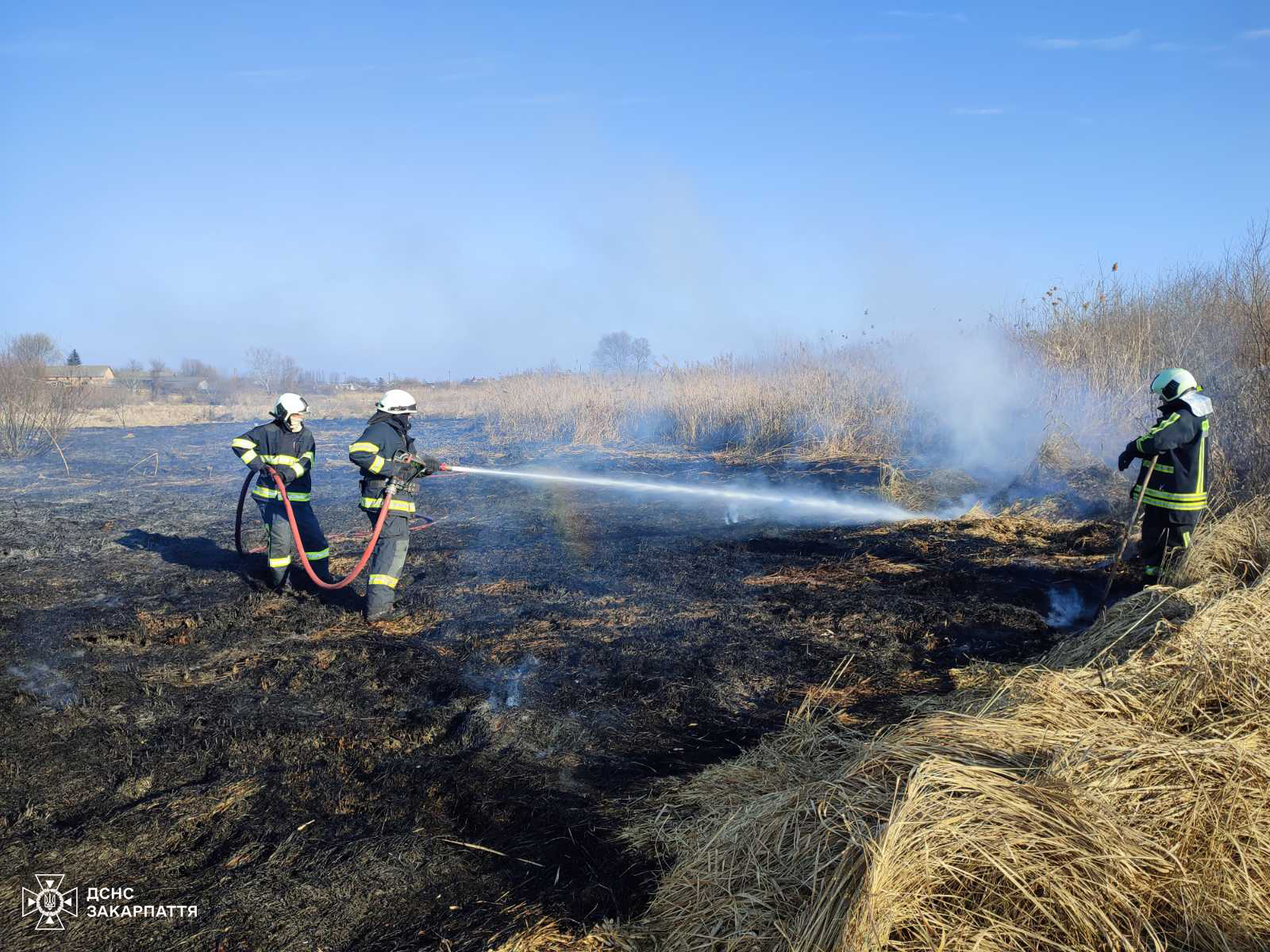 Пожежі унаслідок паління сухостою