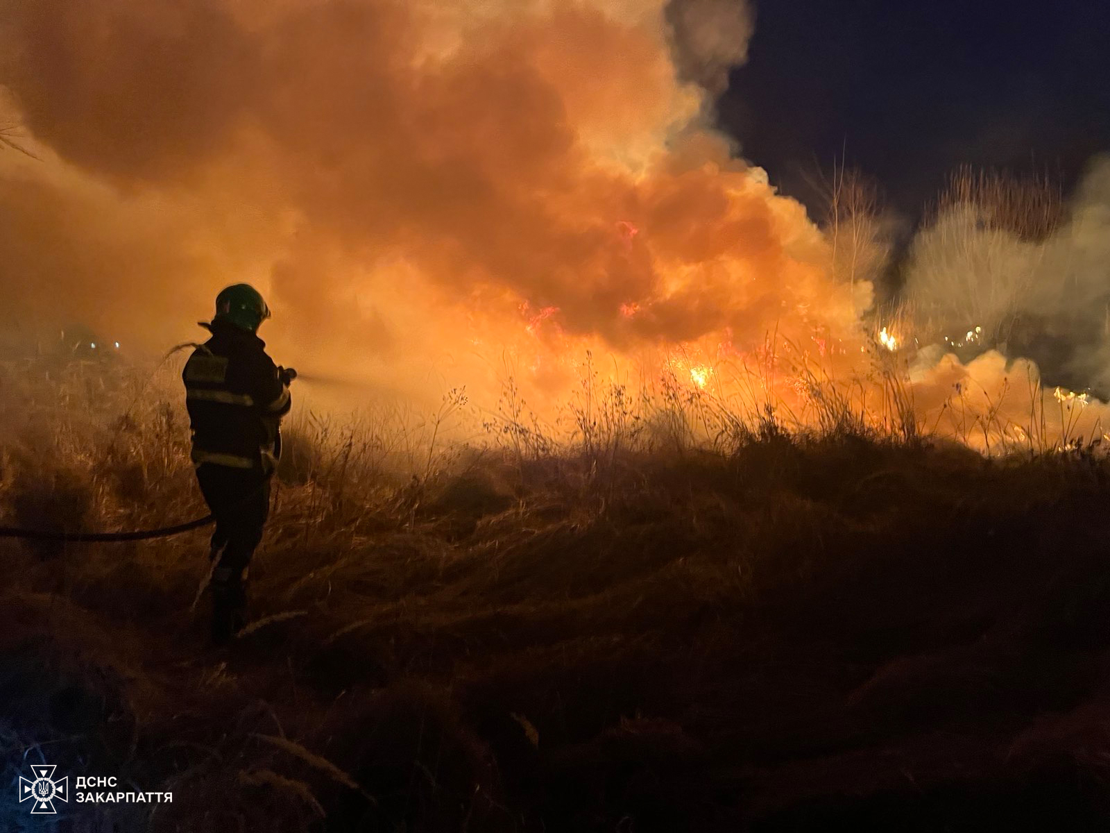 Пожежі унаслідок паління сухостою