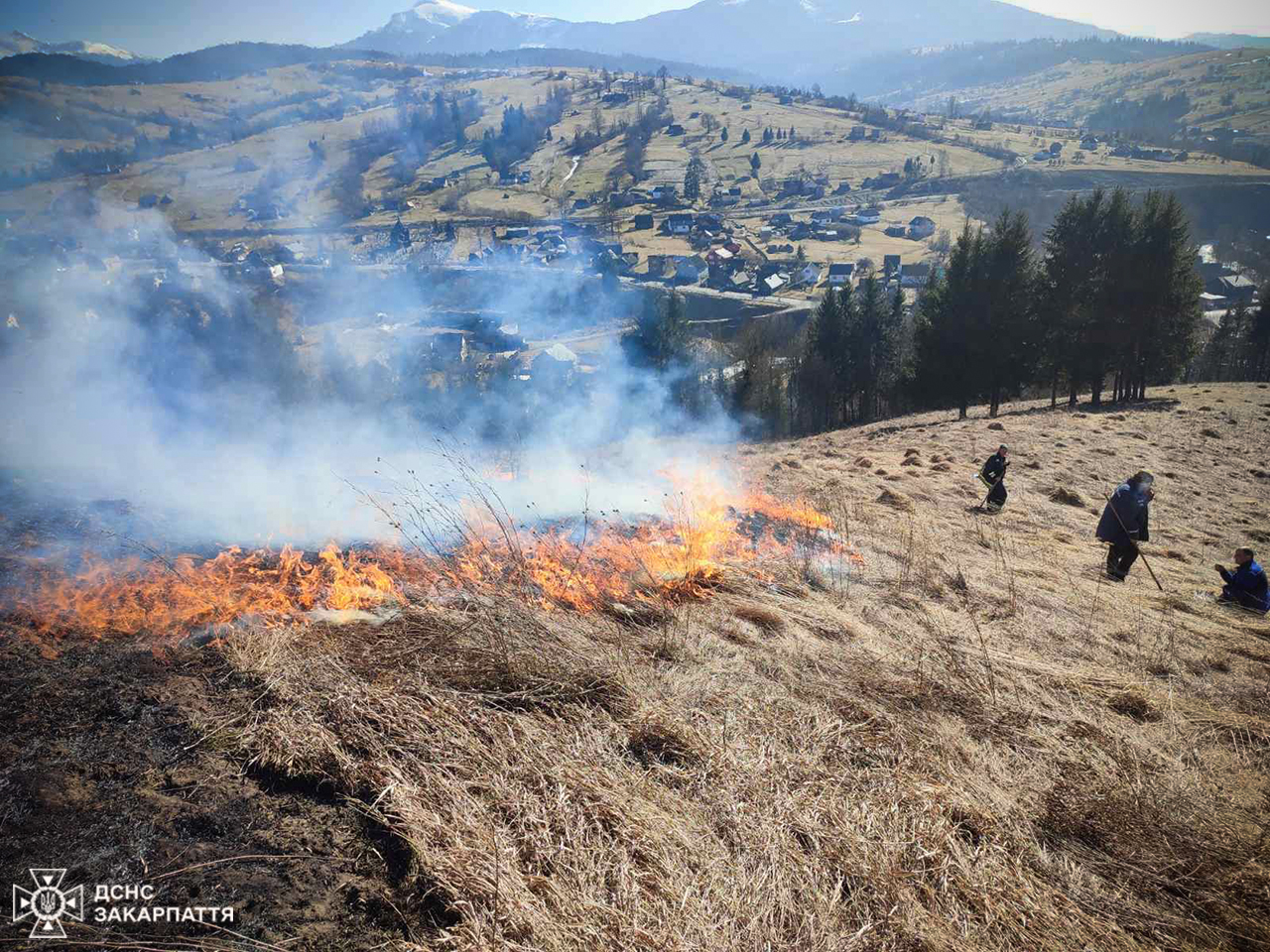 Пожежа сухої трави на Рахівщині 