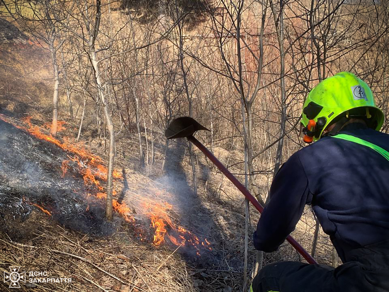 Пожежа сухої трави на Рахівщині 