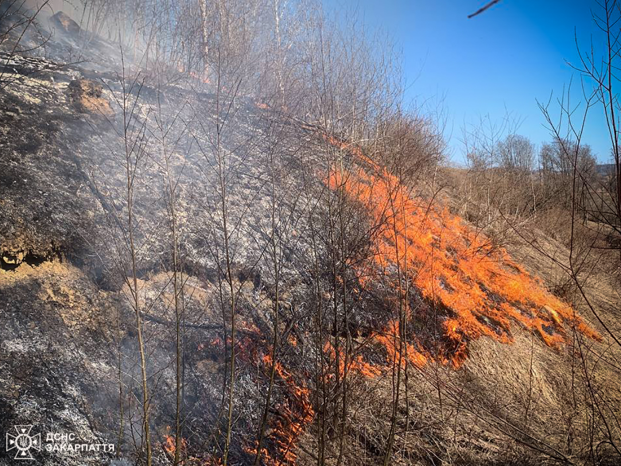 Пожежа сухої трави на Рахівщині 