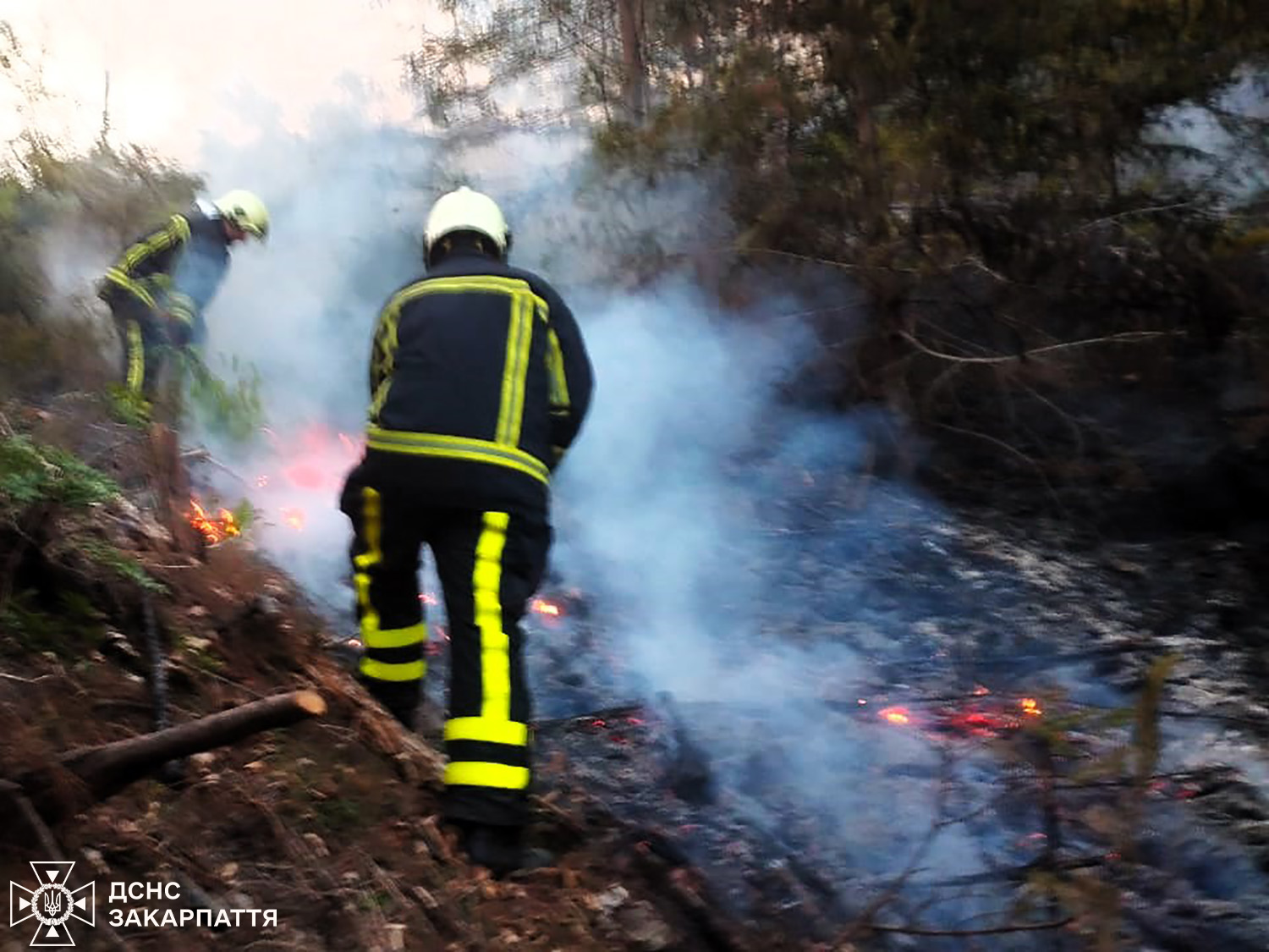 Пожежа у підліску на Міжгірщині