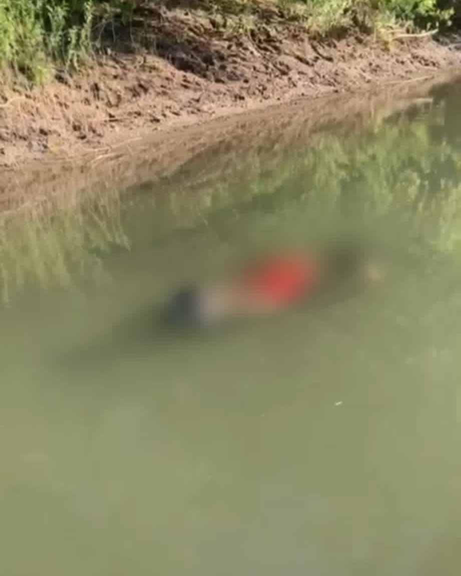 Виявлене тіло у водоймі
