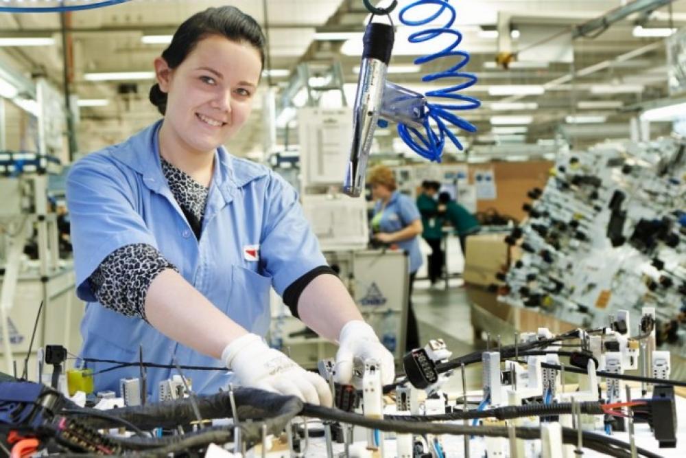 пошук роботи