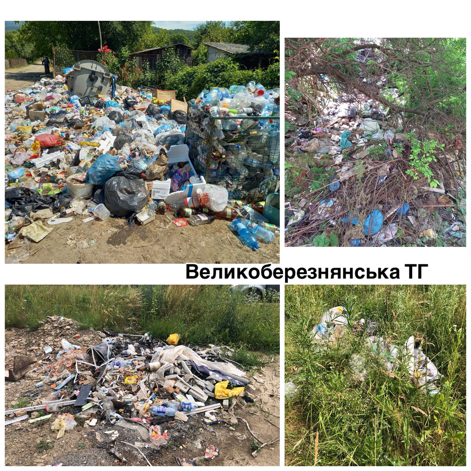 Сміття на Великоберезнянщині