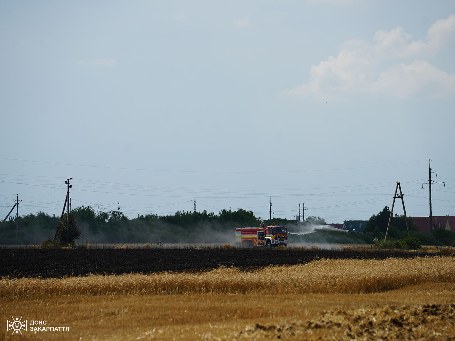 Пожежа на пшеничному полі біля Ужгорода