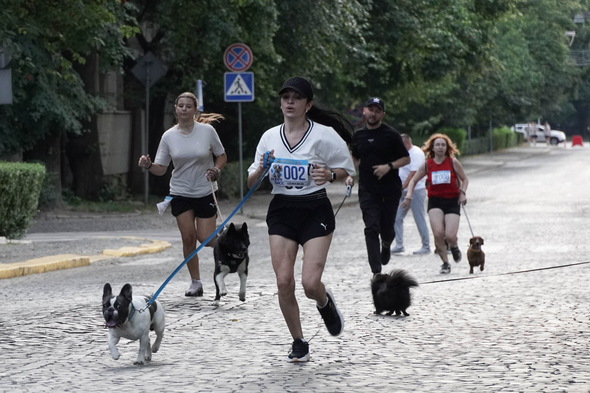 Uzhhorod Puppy Race