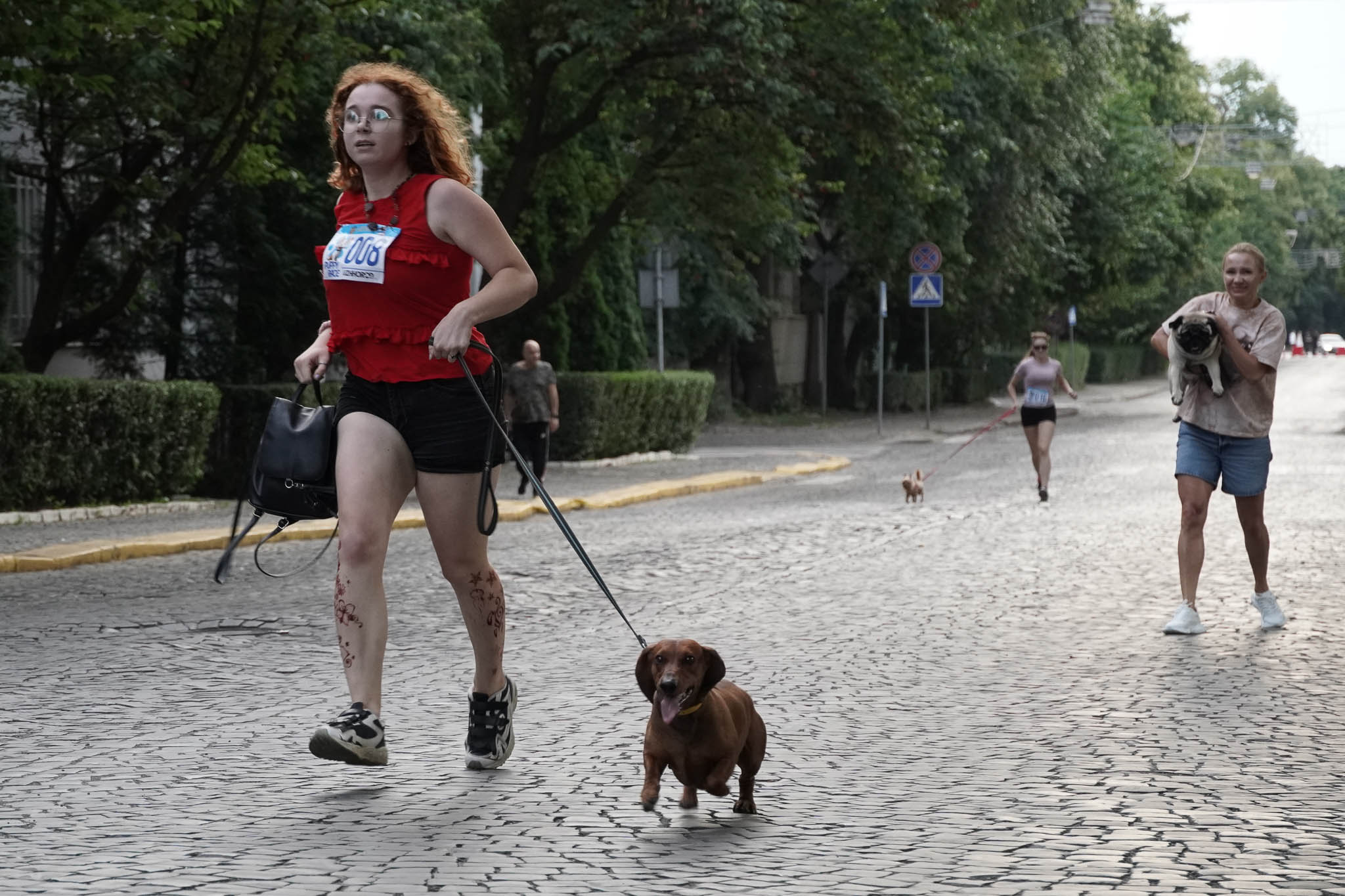Uzhhorod Puppy Race