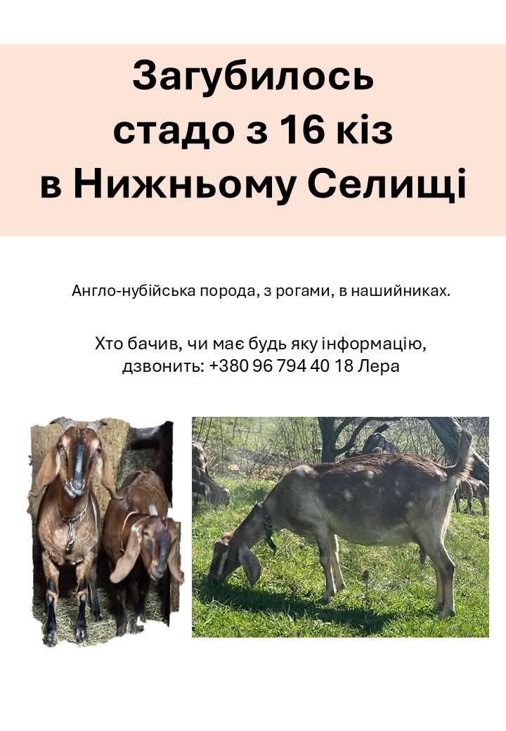 пошук кіз