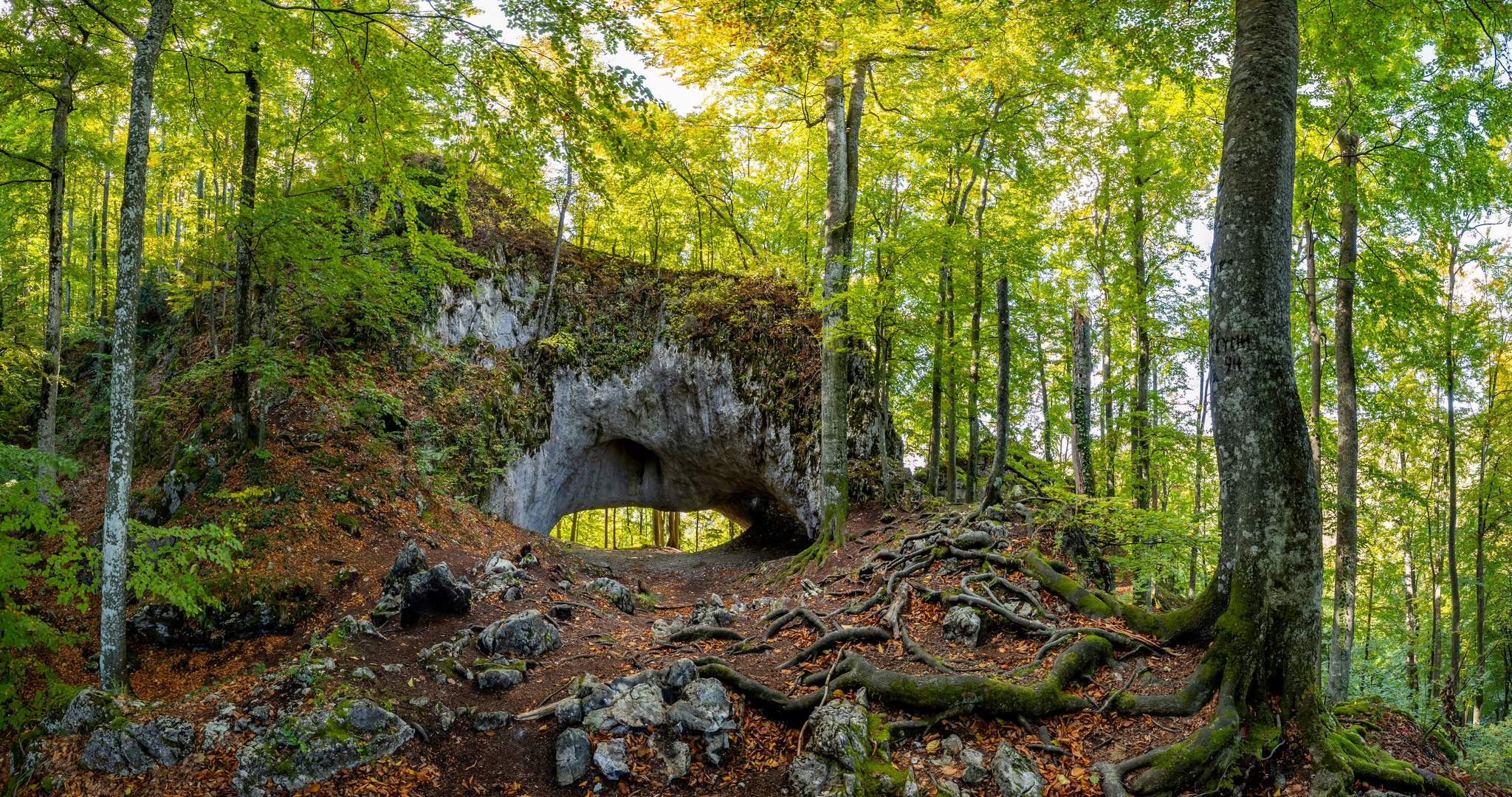 Закарпаття