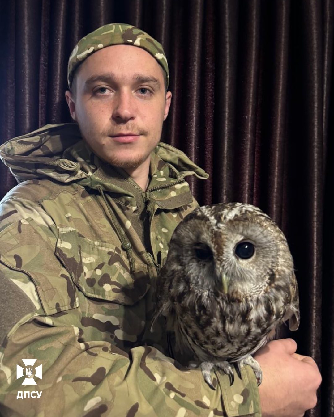 Сова з прикордонником