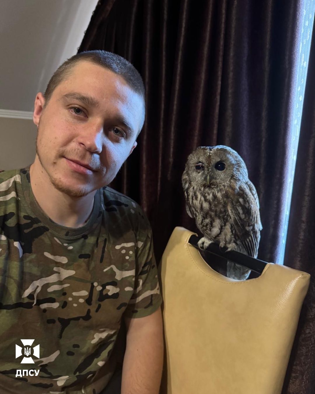 Прикордонник і сова