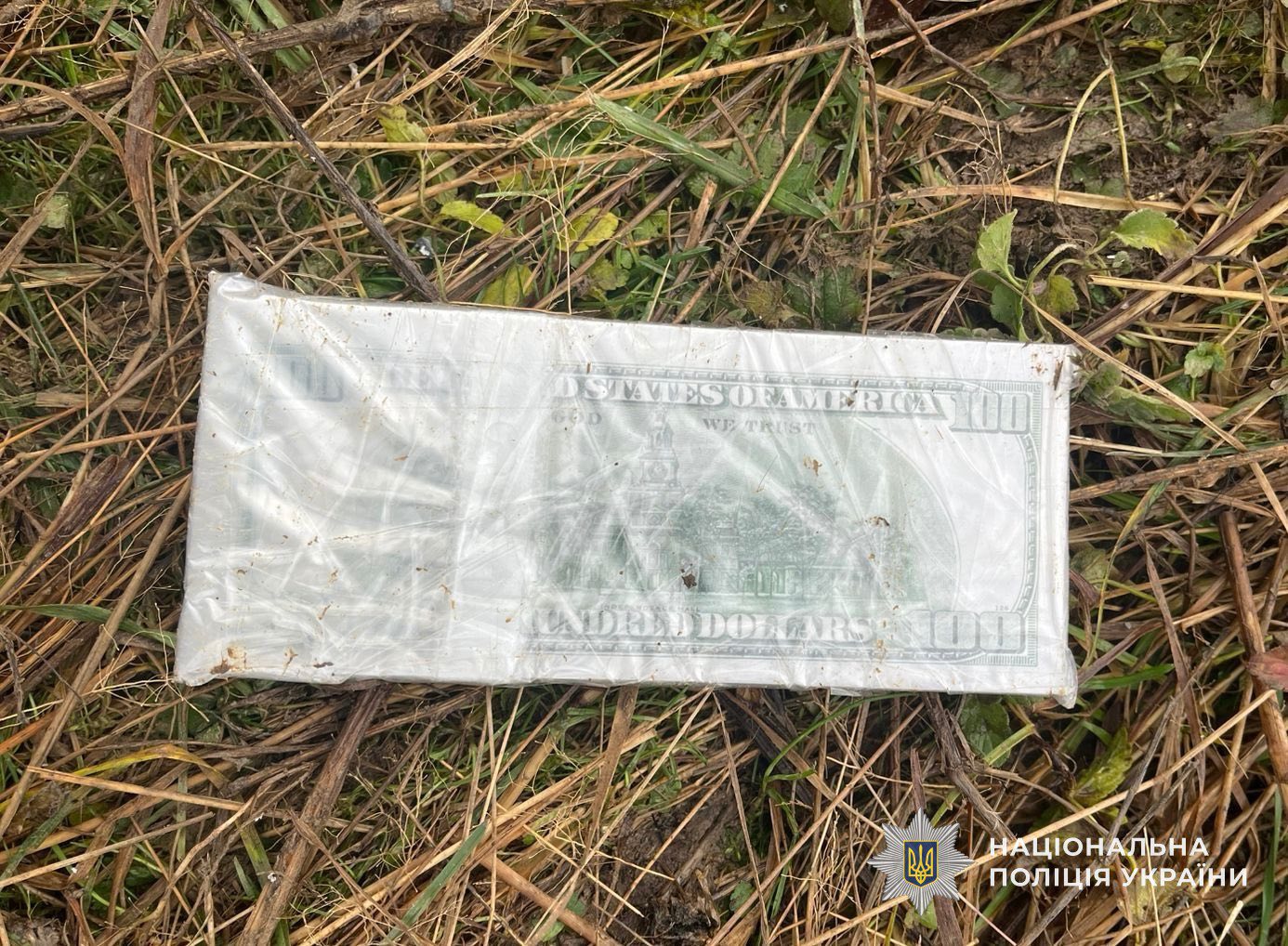 Вилучені кошти