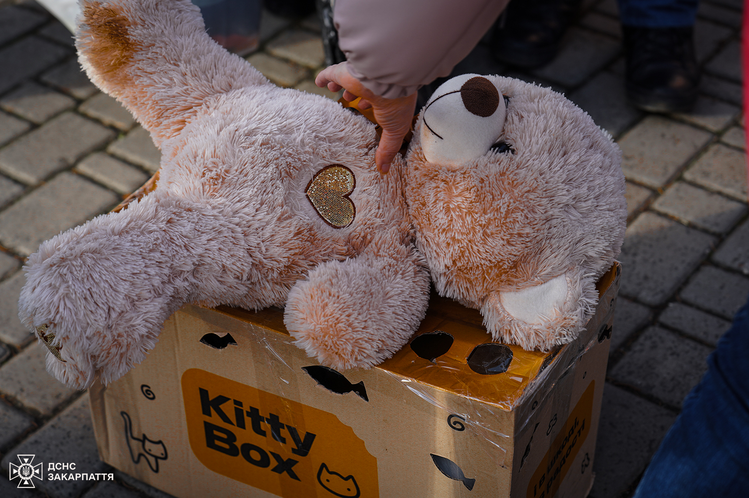 Зустріч людей на вокзалі у Мукачеві