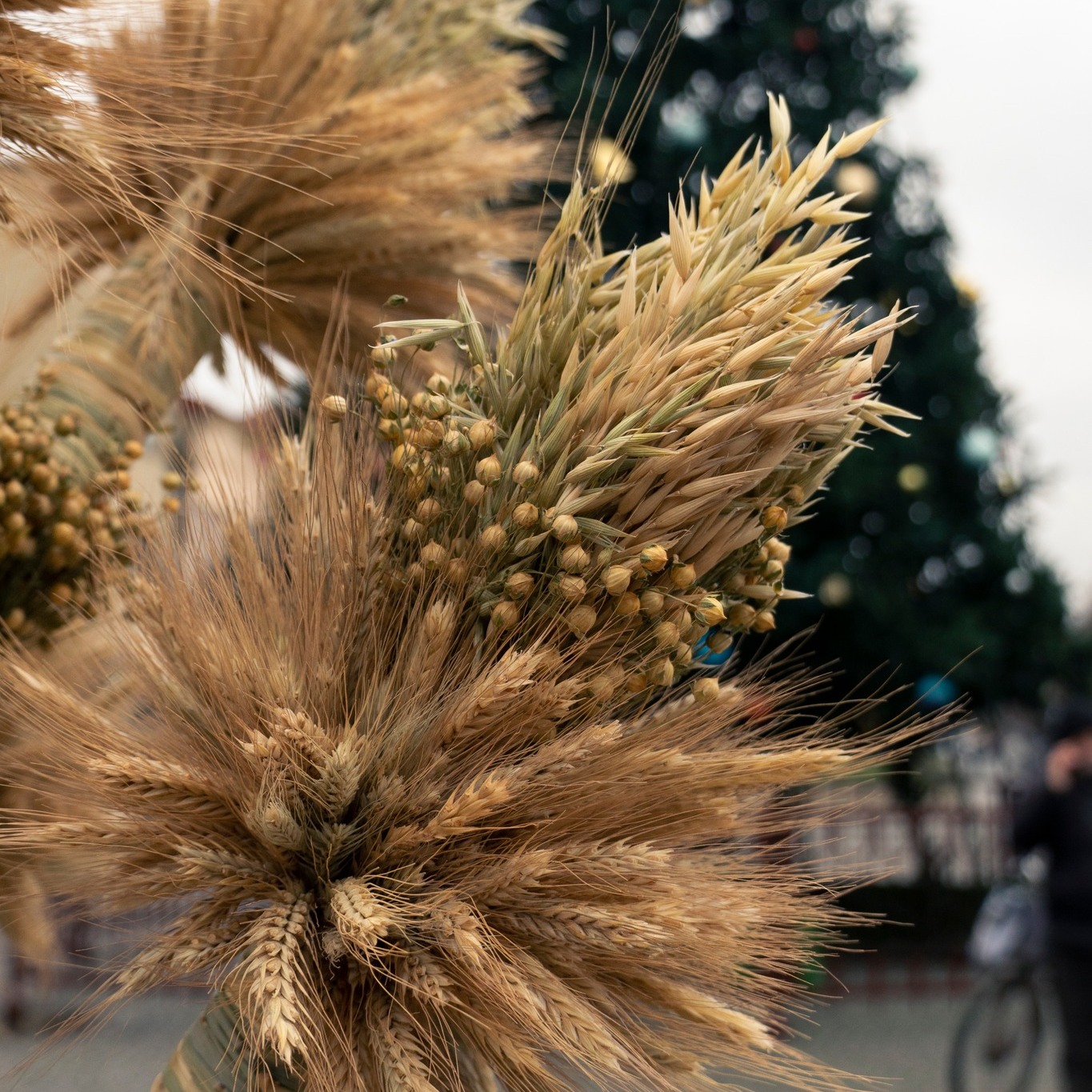 Дідух у Мукачеві