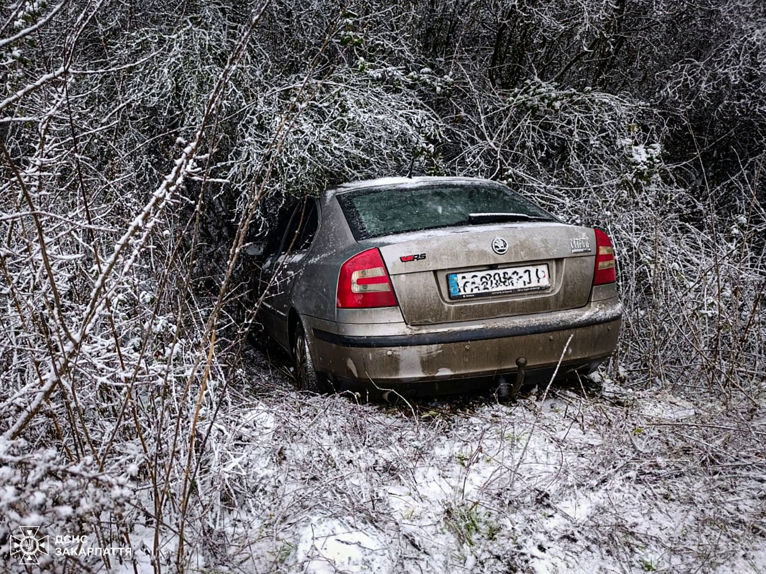 Авто, які потрапили у ДТП у Берегові