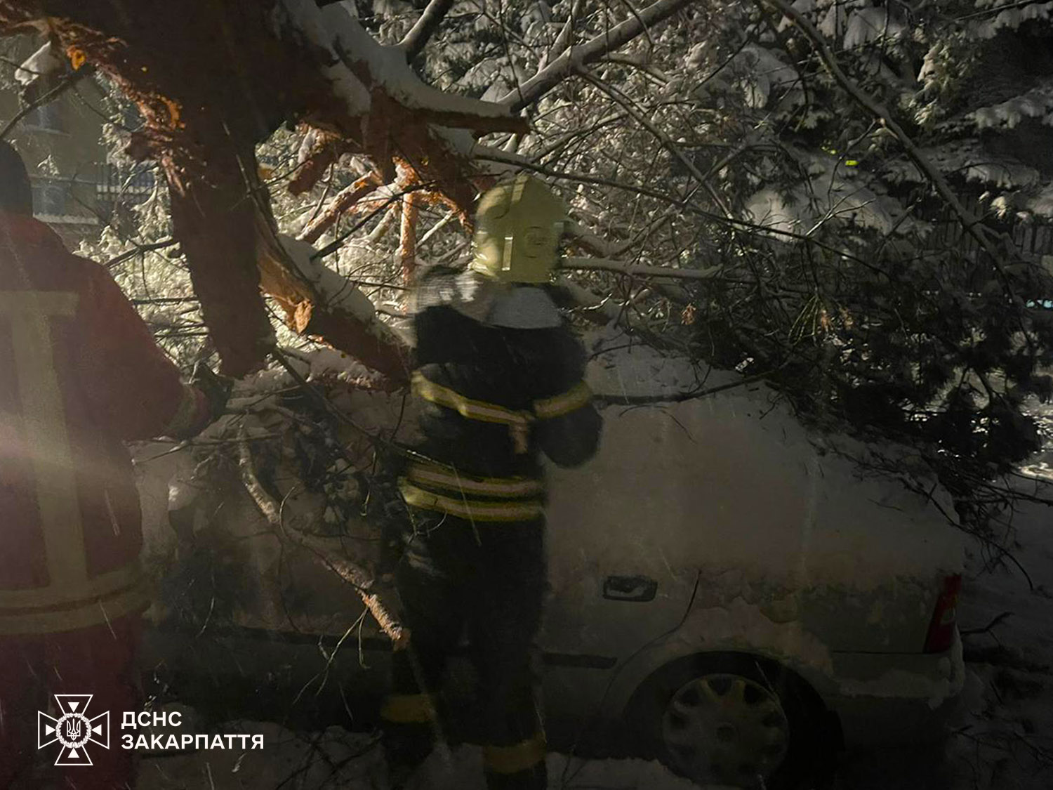 Падіння дерев на авто на Закарпатті
